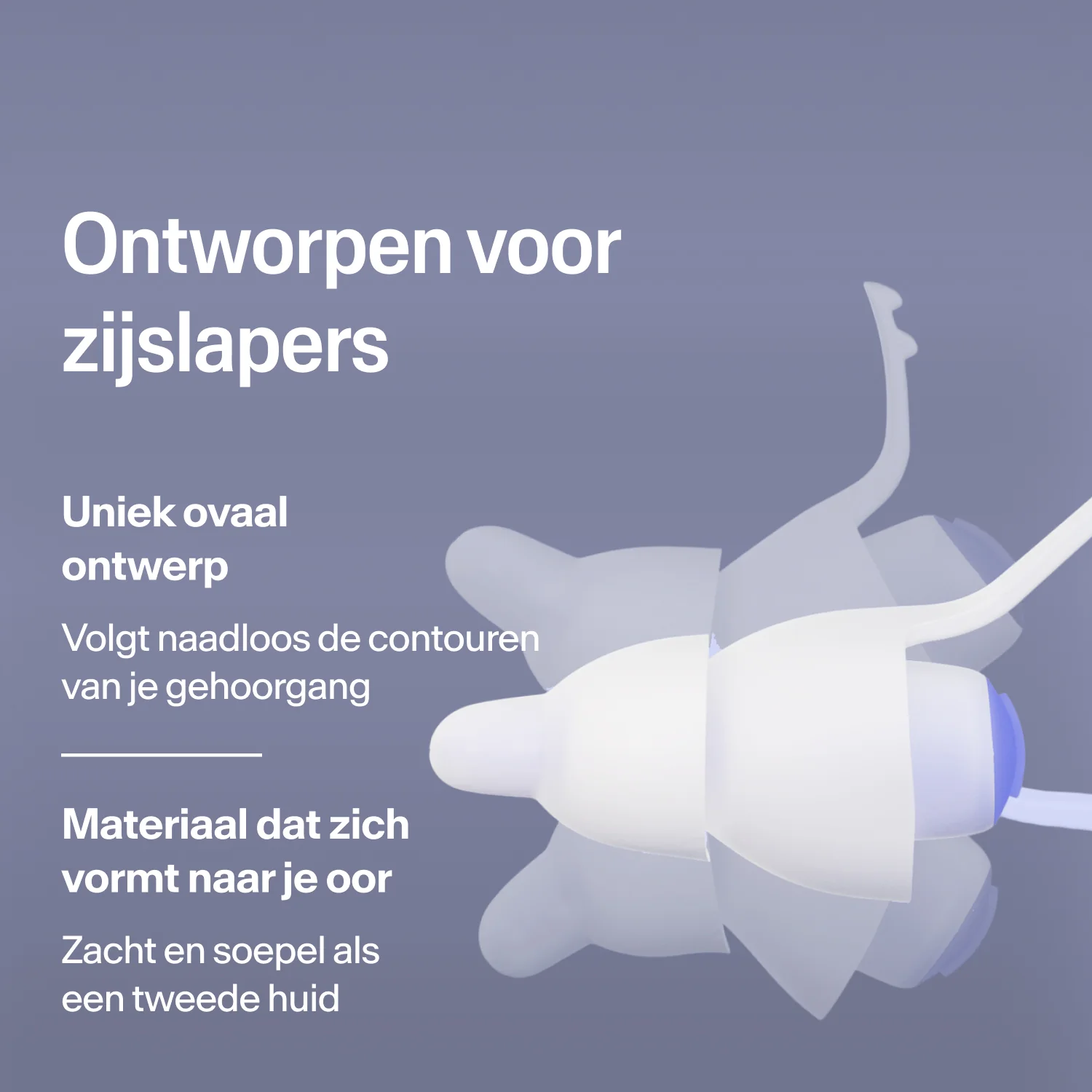 Productafbeelding 40